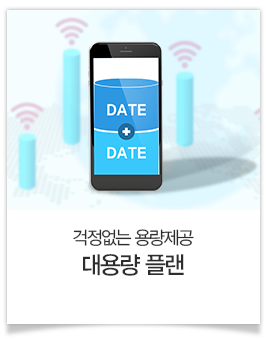 대용량 옵션